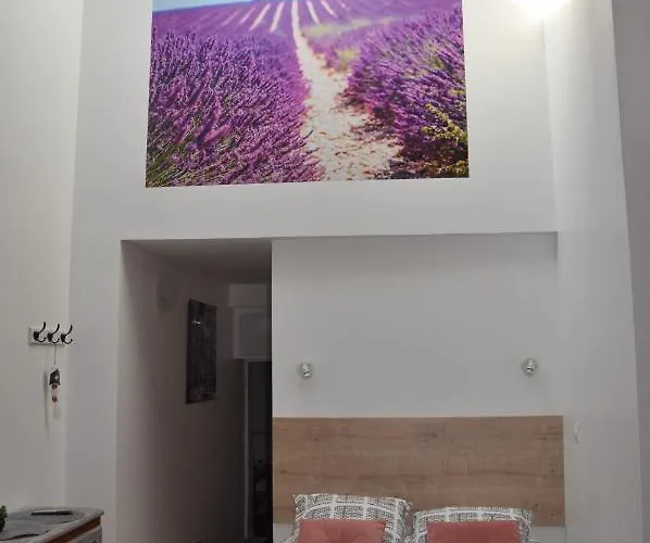 Appartement Avec Terrasse Privative Et Piscine