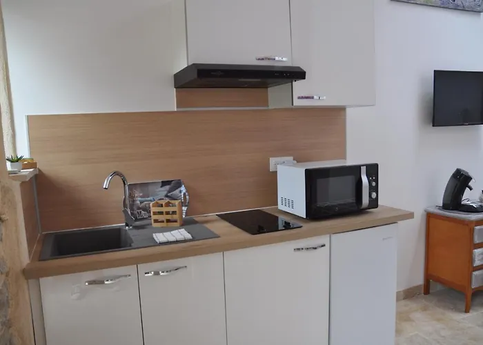 Avec Terrasse Privative Et Piscine Appartement *